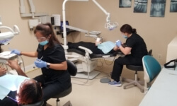 how to become a dental assistant in St. Petersburg FL