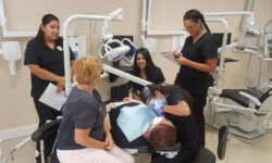 Dental Assistant Courses in St. Petersburg FL